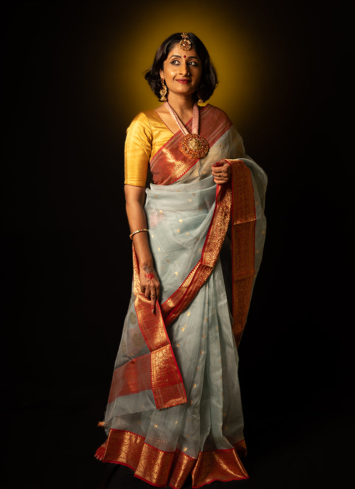 A women is dressed up and is posing by wearing beautiful grey silk saree with matching jewelry.