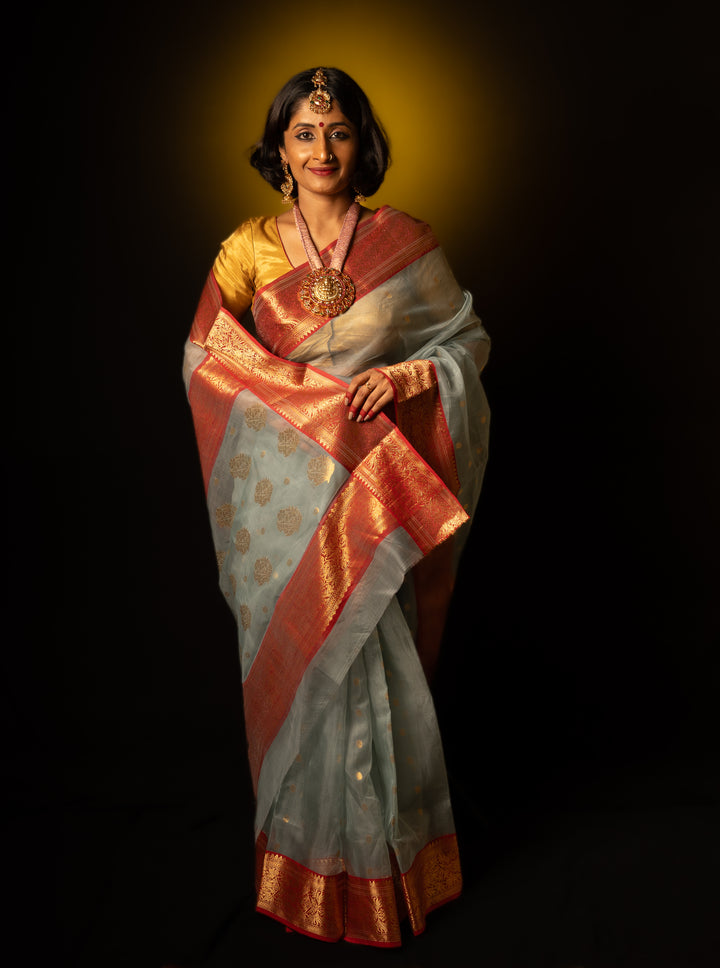 A women is dressed up and is posing by wearing beautiful grey silk saree with matching jewelry.