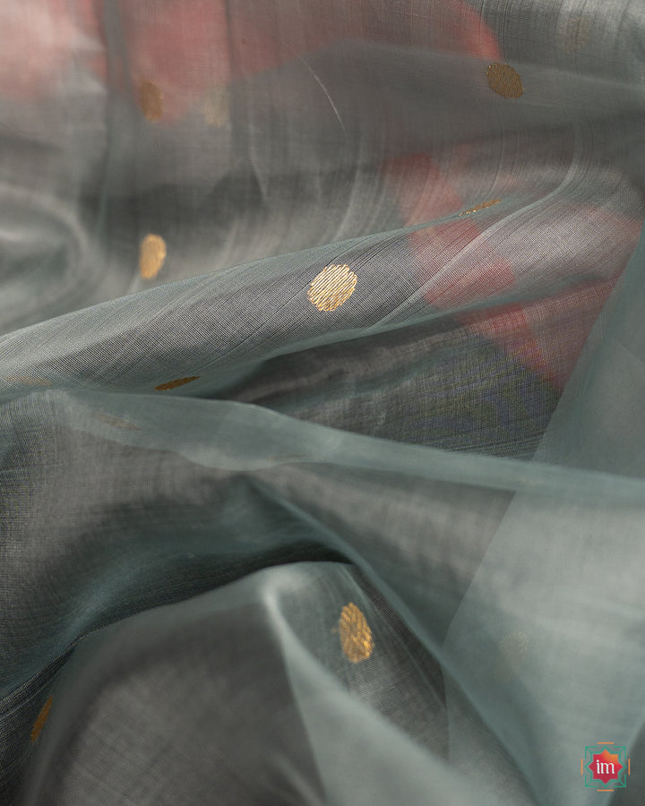 Elegant grey silk saree, where in the detailed saree print is displayed.