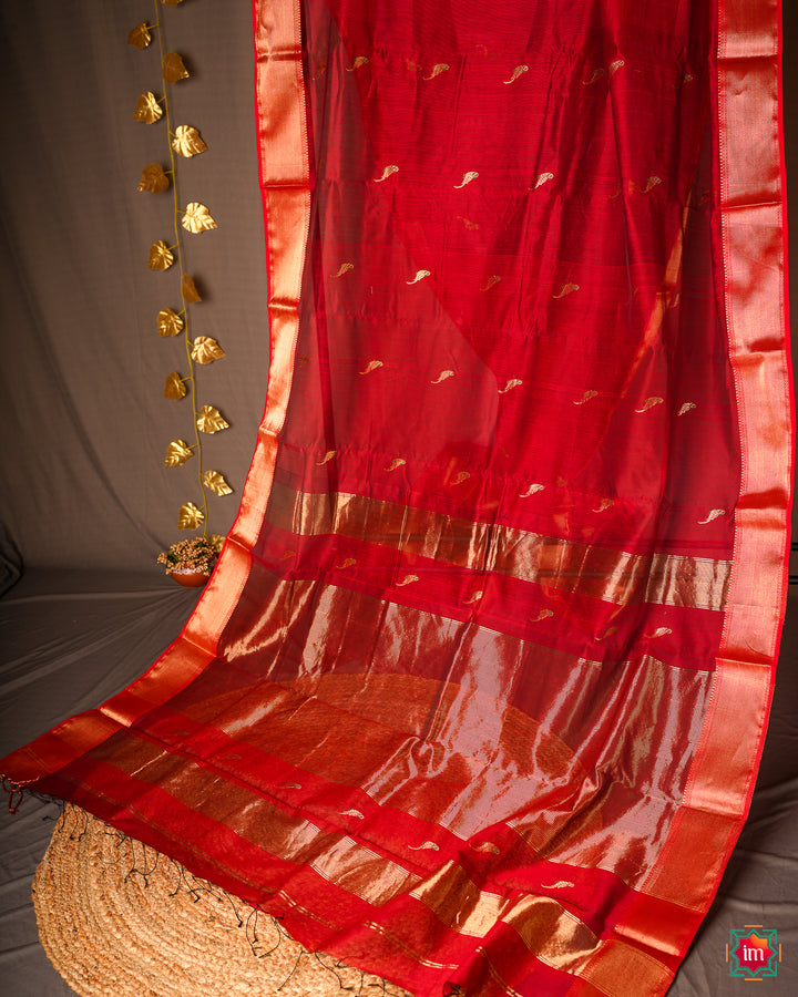 Red handloom cotton saree is displayed.